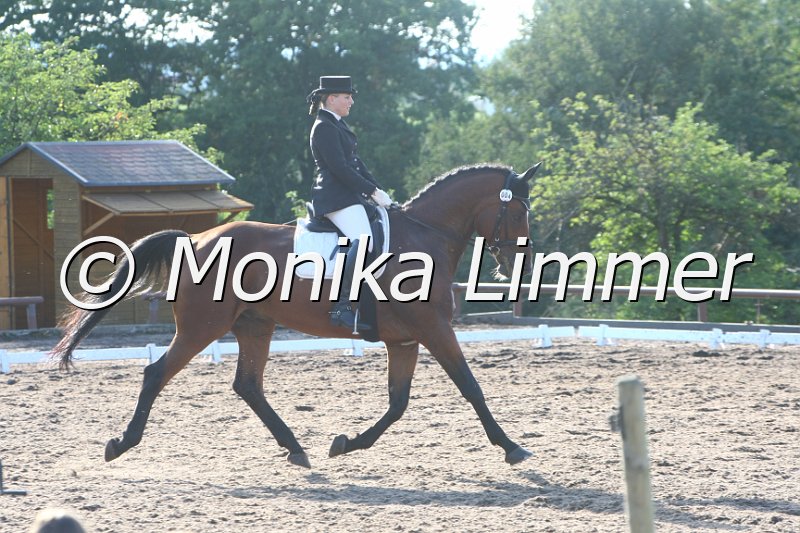 109M4870_Aramis_Dressurreiter A.JPG